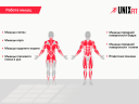 Силовой комплекс UNIX Fit BLOCK 70, Вес стека 70 кг